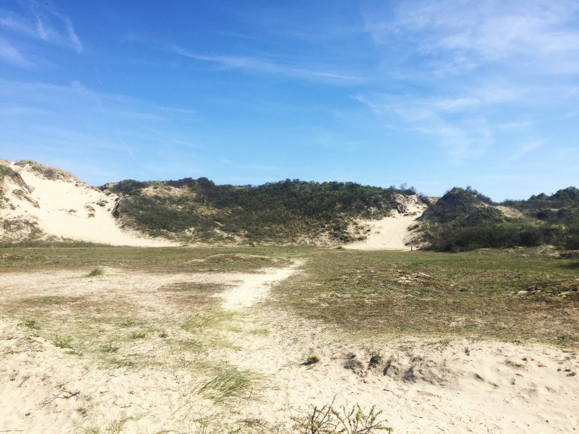 Photo 05-05-2016 16 12 41